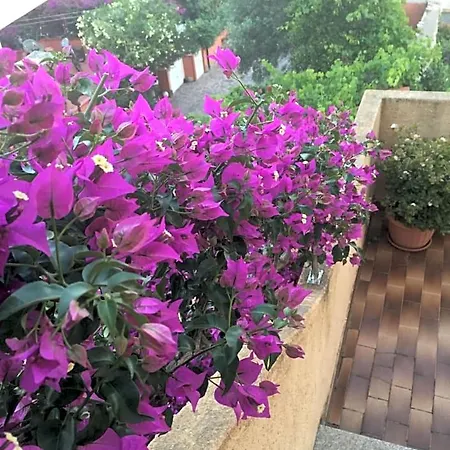 Bed and Breakfast Arcipelago