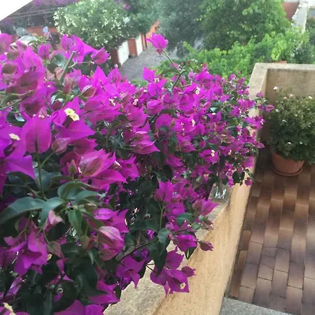 Arcipelago Bed and Breakfast Λα Μανταλένα